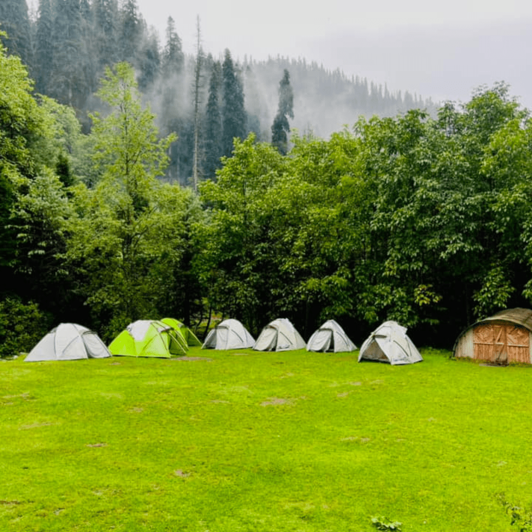 2 Days Sharan Forest Khyber Pakhtunkhwa