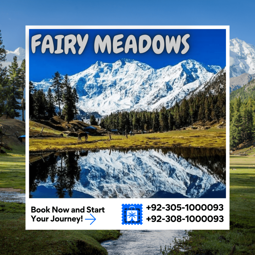 5 Days Fairy Meadows Gilgit Baltistan Jan - December 5 days Saloon Coaster / Grand Cabin Hiace