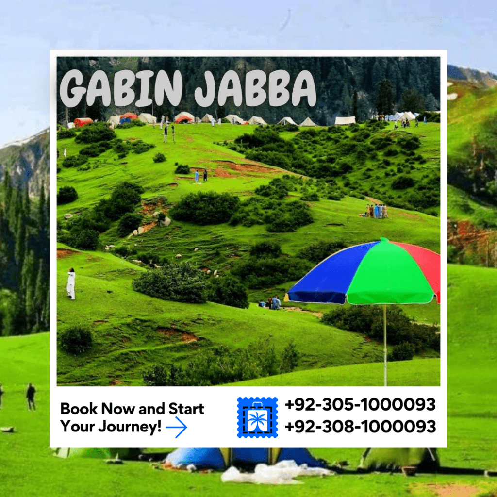 2 Days Gabin Jabba Khyber Pakhtunkhwa Jan - December 2 days Saloon Coaster / Grand Cabin Hiace