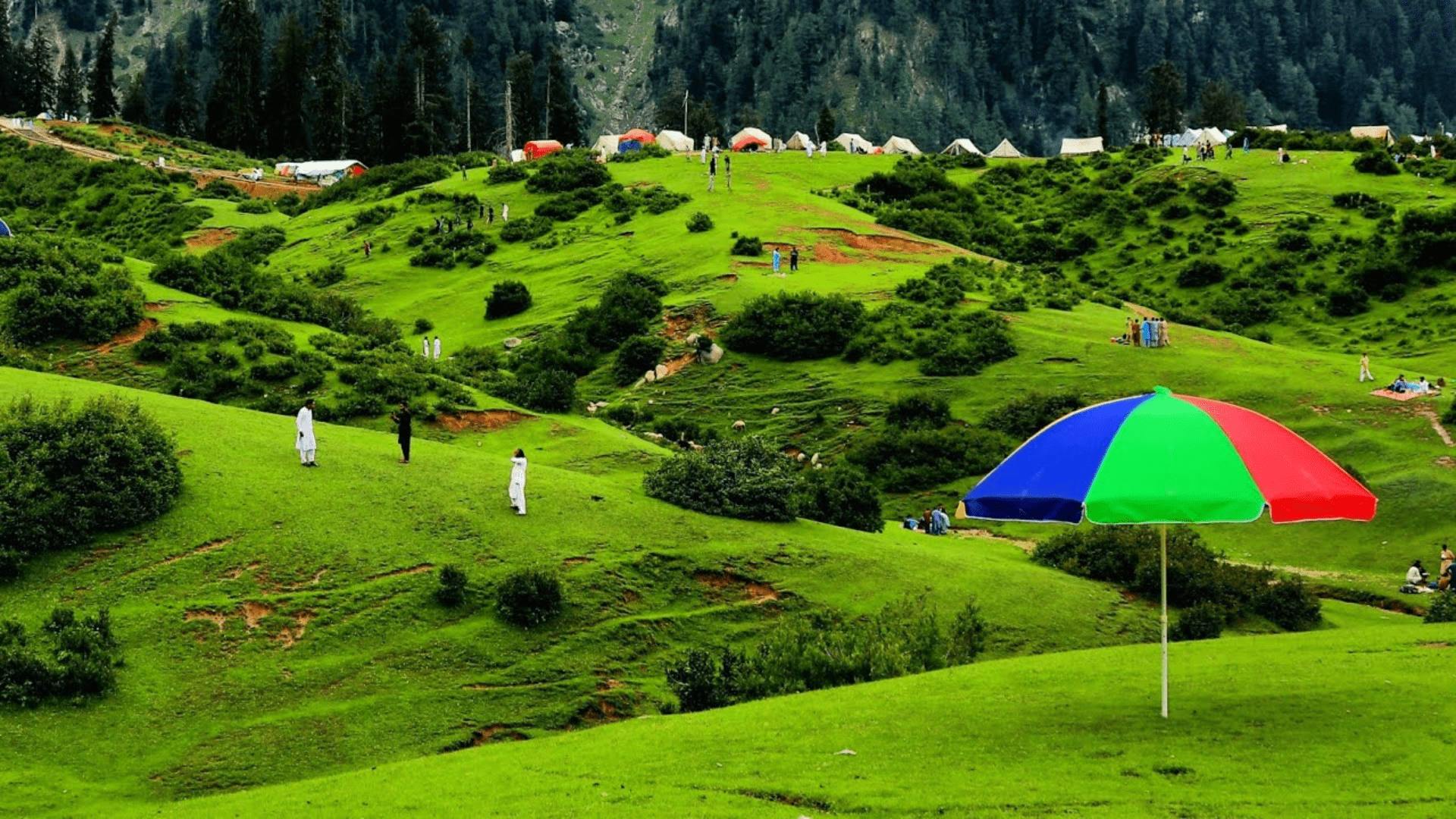 Majestic mountain peaks under a clear blue sky in northern Pakistan.