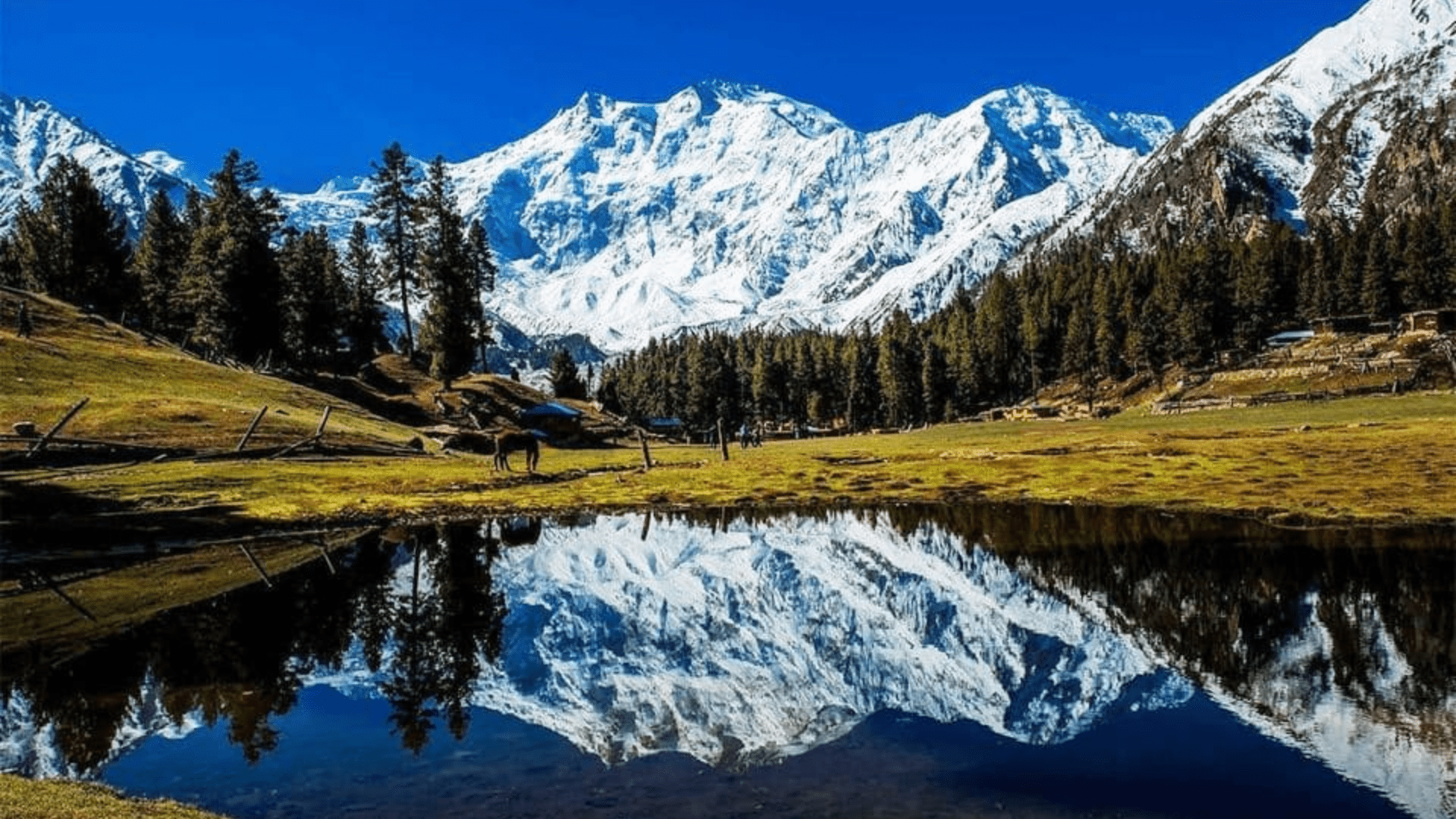 Majestic mountain peaks under a clear blue sky in northern Pakistan.