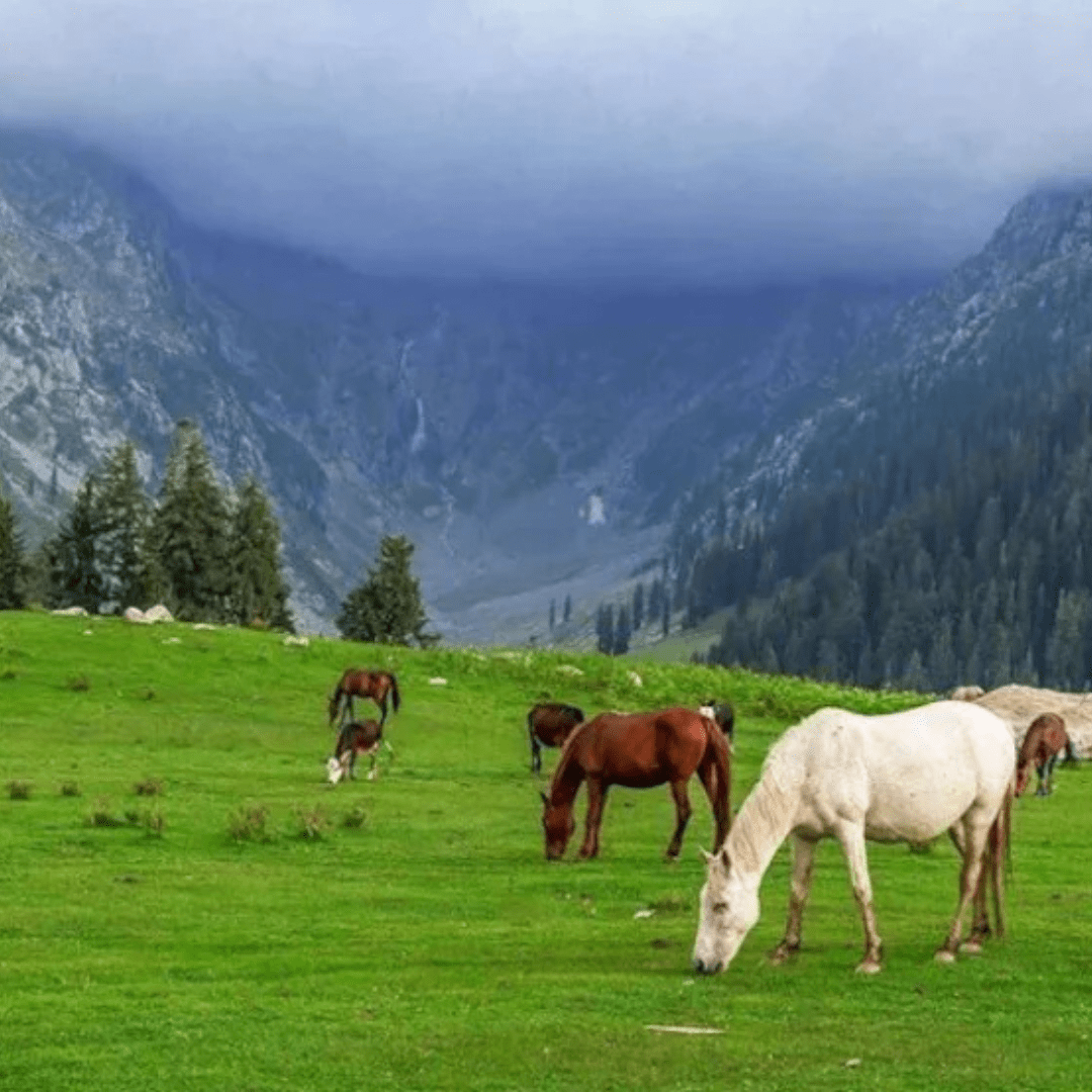 3 Days Malam Jabba Swat Khyber Pakhtunkhwa