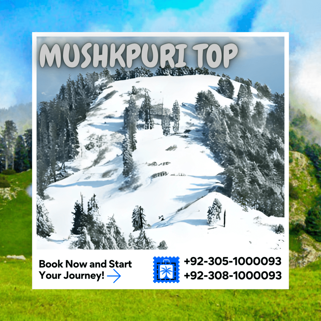 1 Days Mushkpuri Khyber Pakhtunkhwa Jan - December One day Saloon Coaster / Grand Cabin Hiace